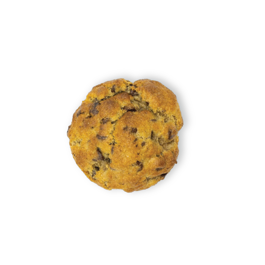 Famous Ooey Gooey Chocolate Chip Cookie | Yummeetreats