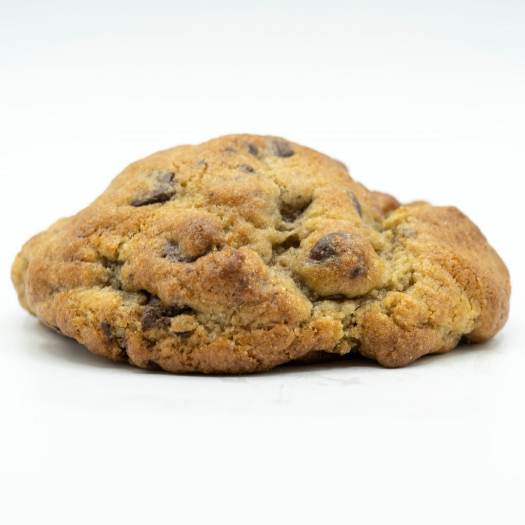 Famous Ooey Gooey Chocolate Chip Cookie