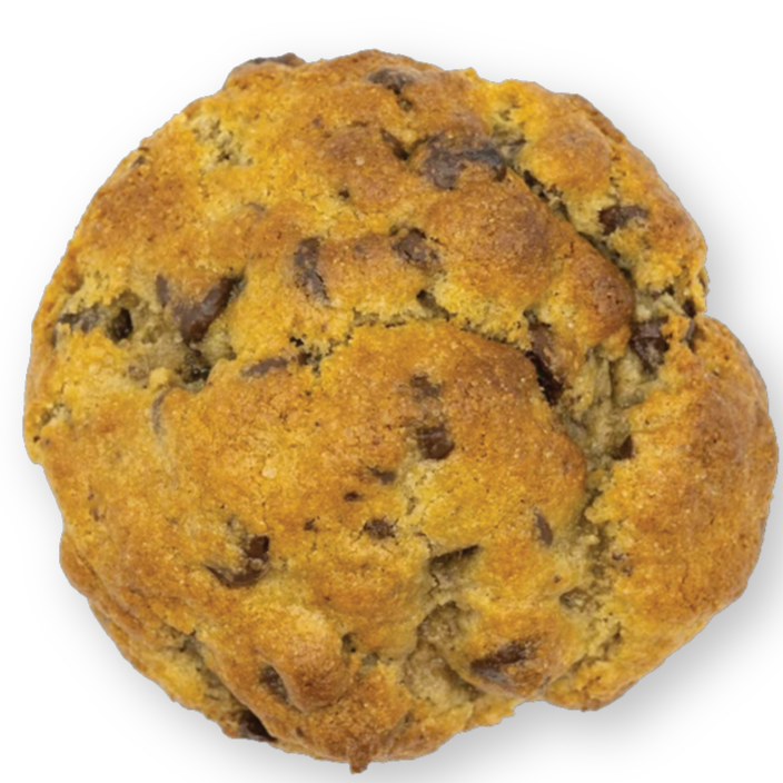 Famous Ooey Gooey Chocolate Chip Cookie